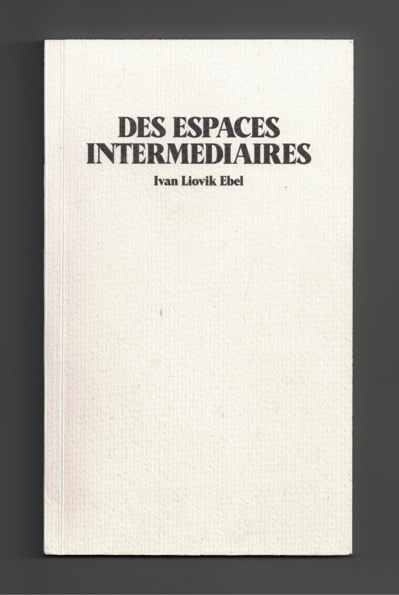Des espaces intermédiaires - Book - Ivan Liovik Ebel